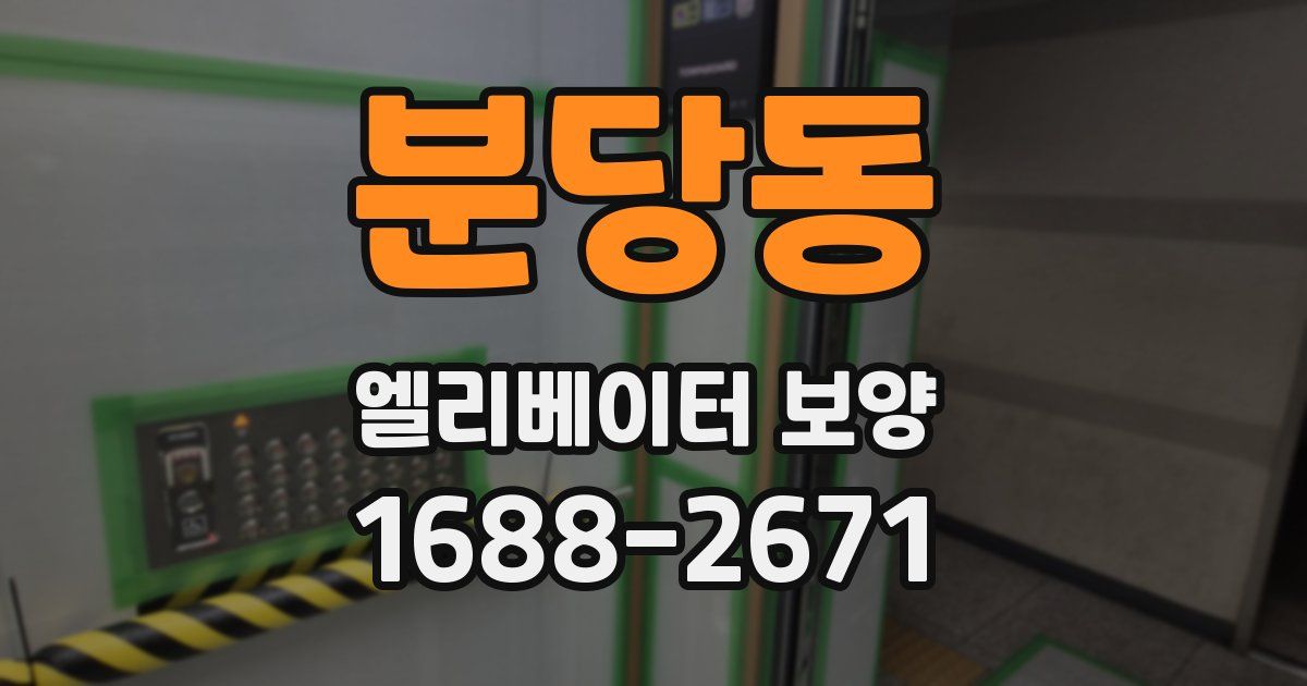 분당동 엘리베이터 보양