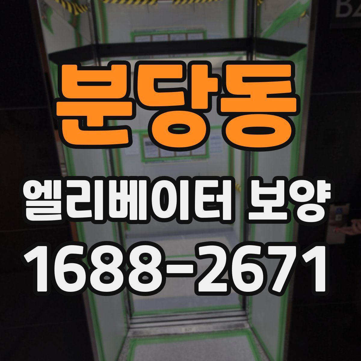 분당동 엘리베이터 보양