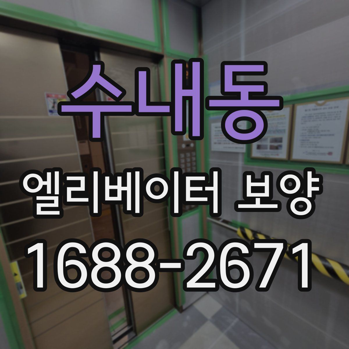 수내동 엘리베이터 보양