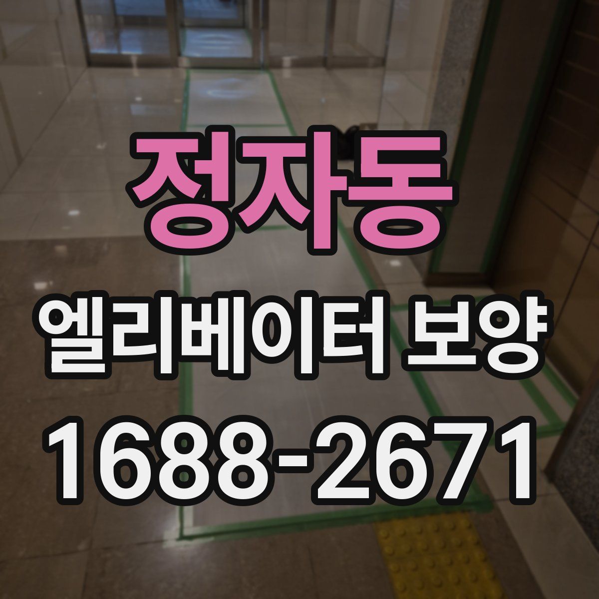 정자동 엘리베이터 보양