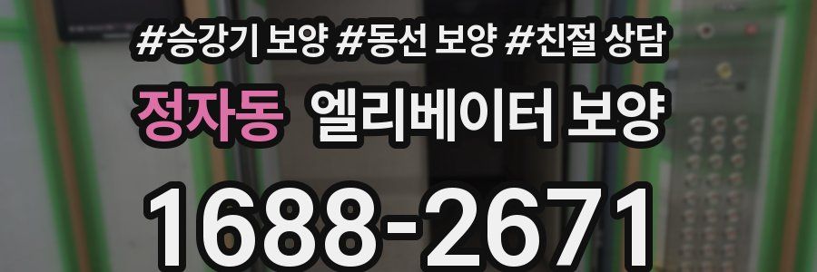 정자동 엘리베이터 보양
