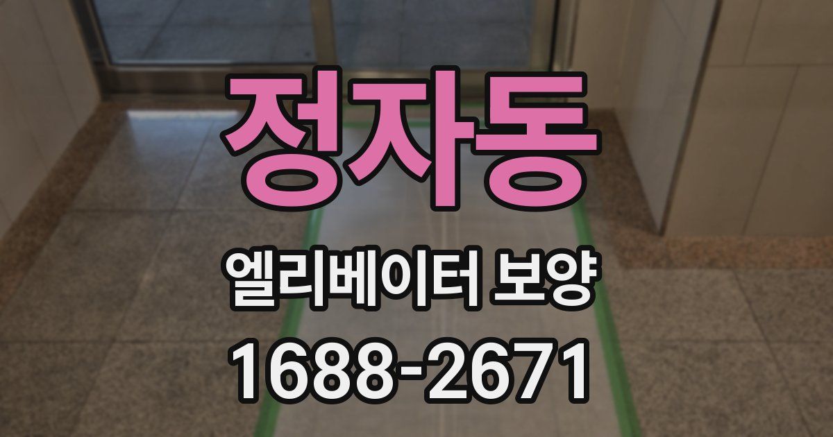 정자동 엘리베이터 보양