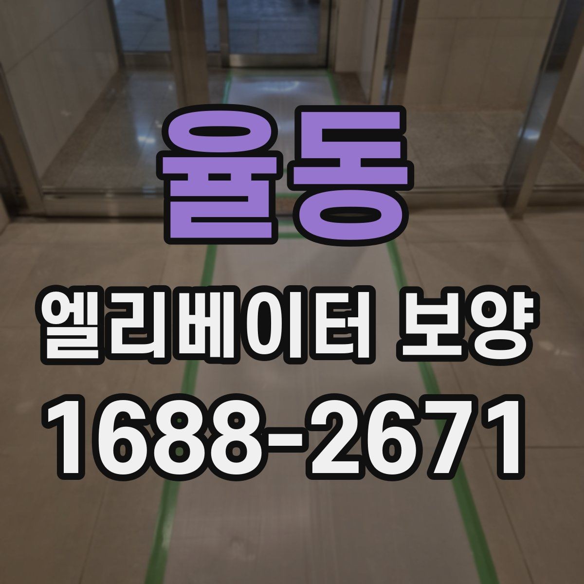율동 엘리베이터 보양 현장별 맞춤 적용이 필요한 이유