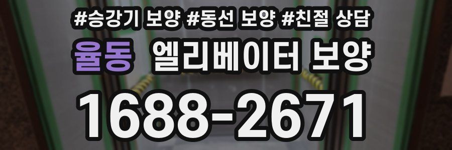 율동 엘리베이터 보양