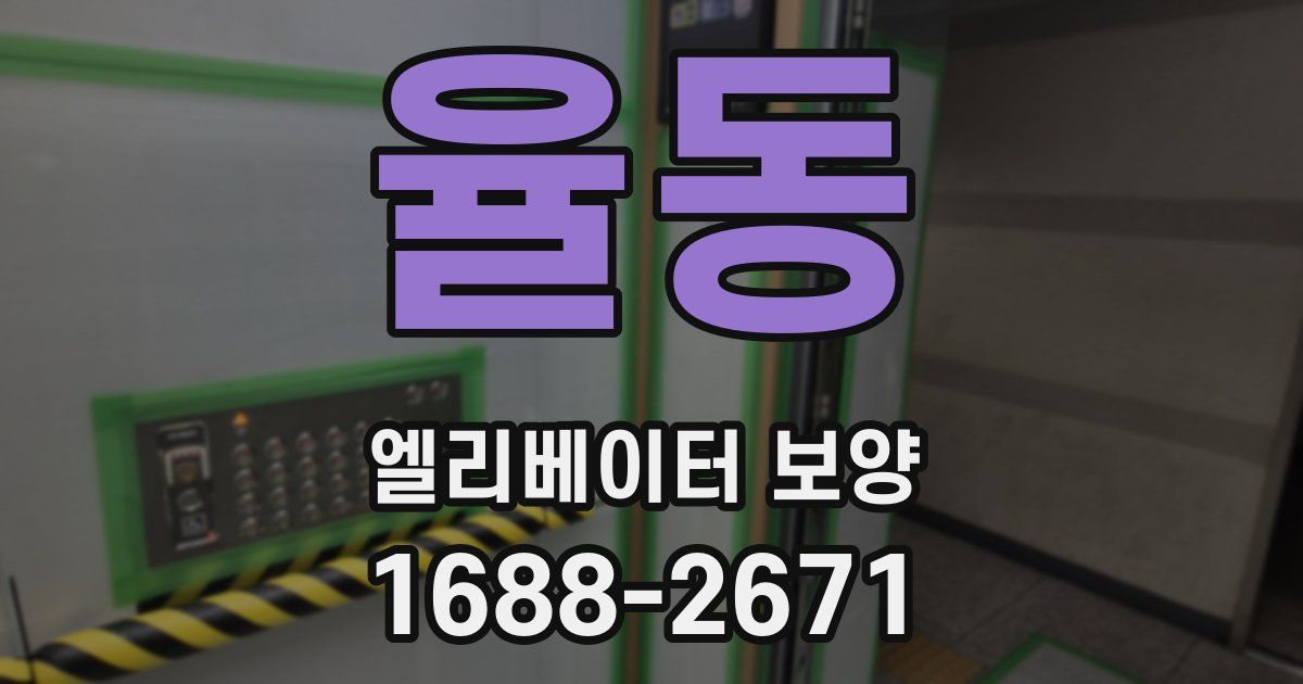 율동 엘리베이터 보양