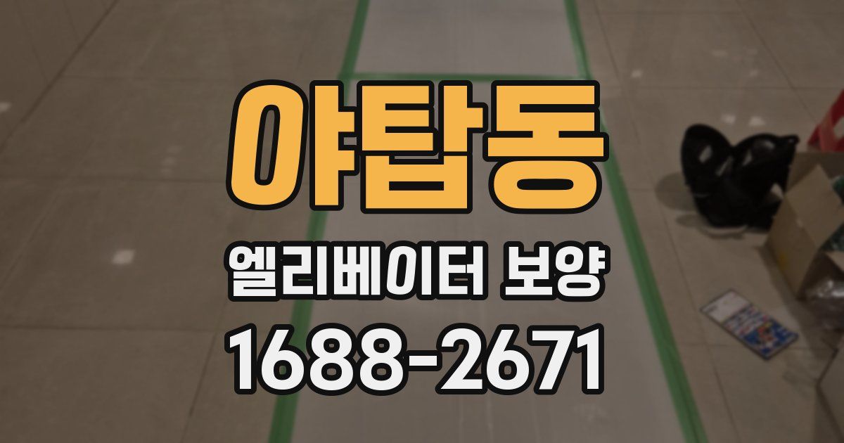 야탑동 엘리베이터 보양