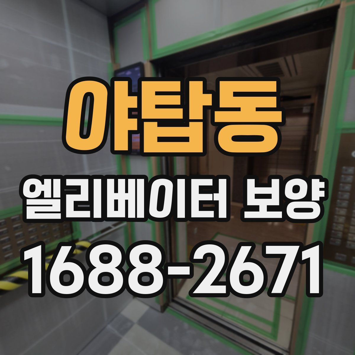 야탑동 엘리베이터 보양