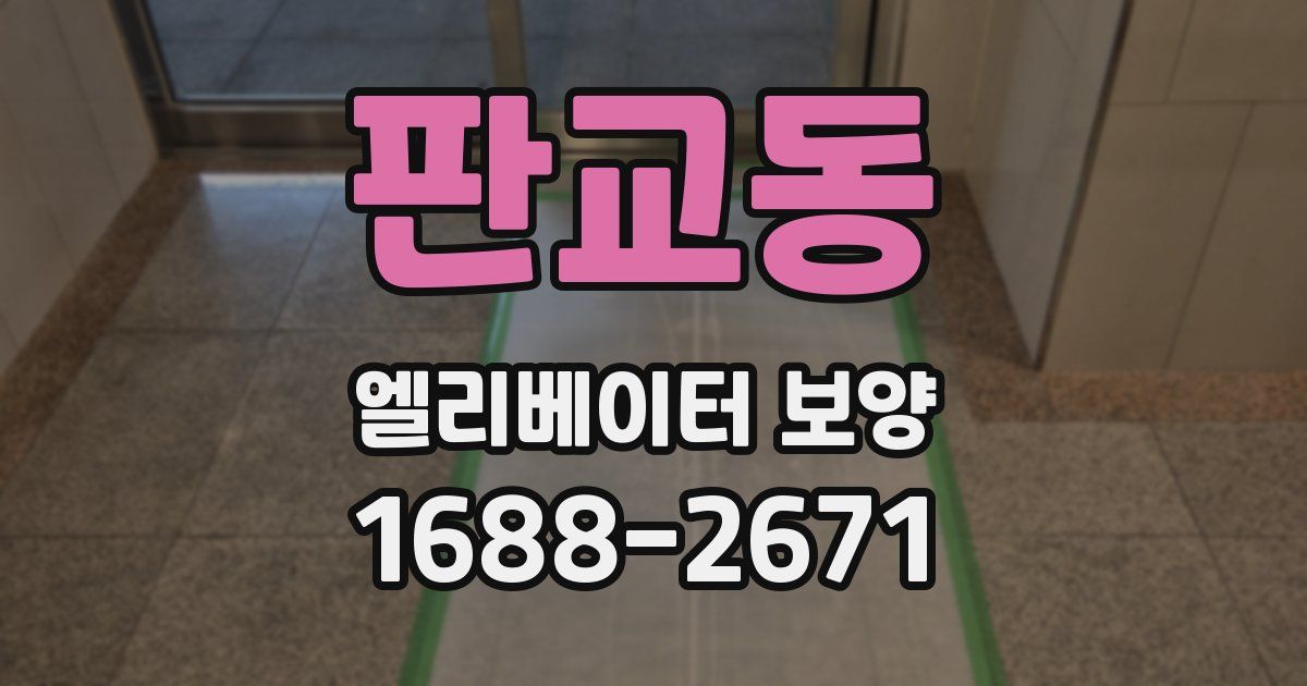 판교동 엘리베이터 보양
