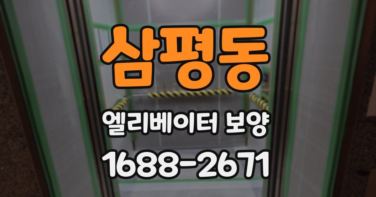 삼평동 엘리베이터 보양