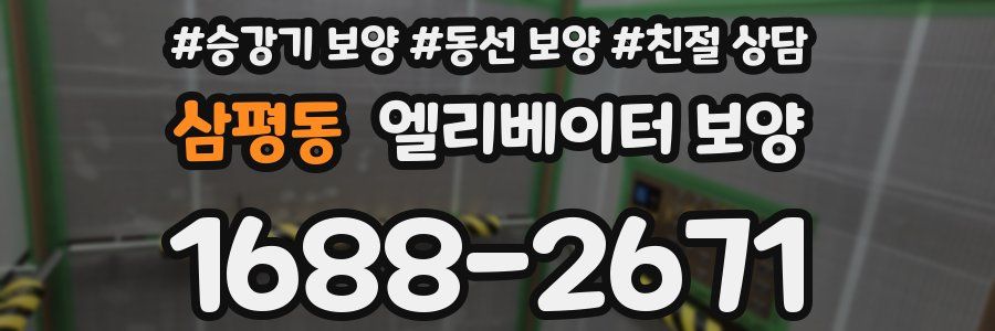 삼평동 엘리베이터 보양