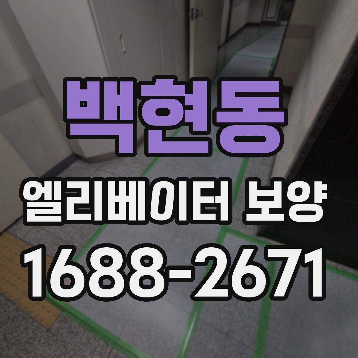백현동 엘리베이터 보양 작업 범위와 진행 순서