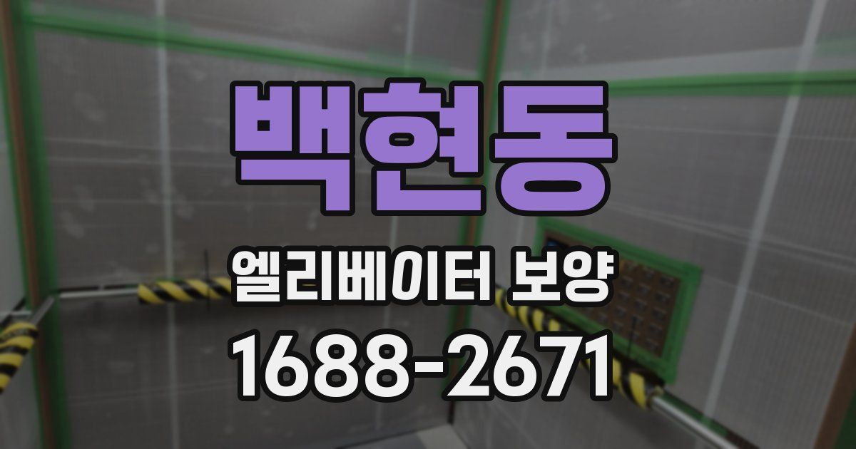 백현동 엘리베이터 보양
