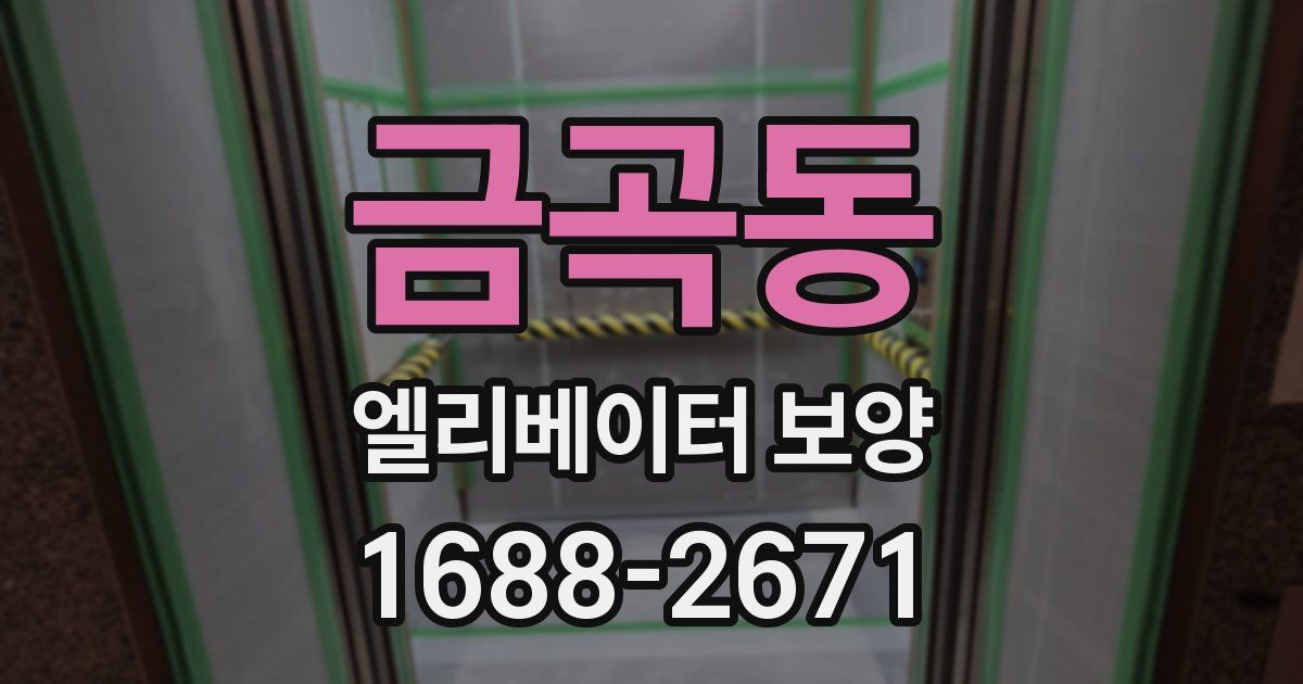 금곡동 엘리베이터 보양