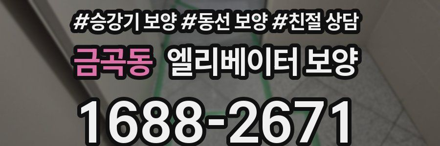 금곡동 엘리베이터 보양