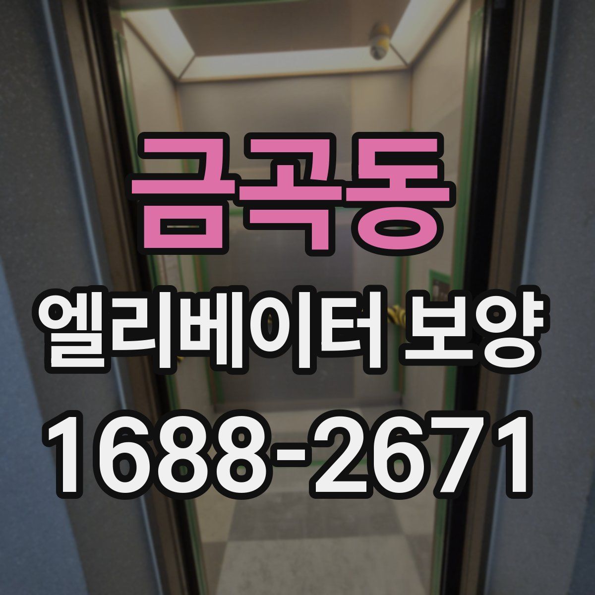 금곡동 엘리베이터 보양