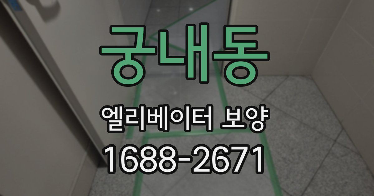 궁내동 엘리베이터 보양
