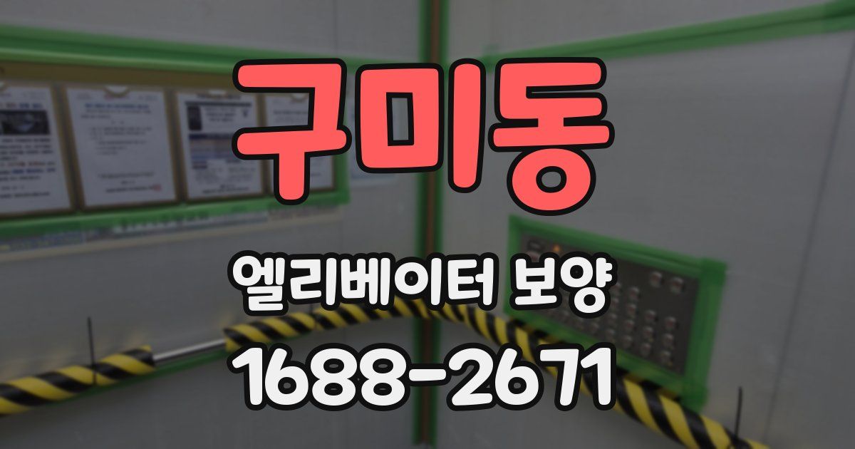 구미동 엘리베이터 보양