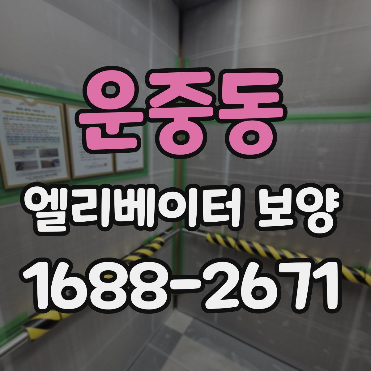 운중동 엘리베이터 보양