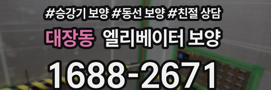 대장동 엘리베이터 보양