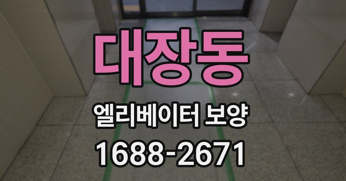 대장동 엘리베이터 보양