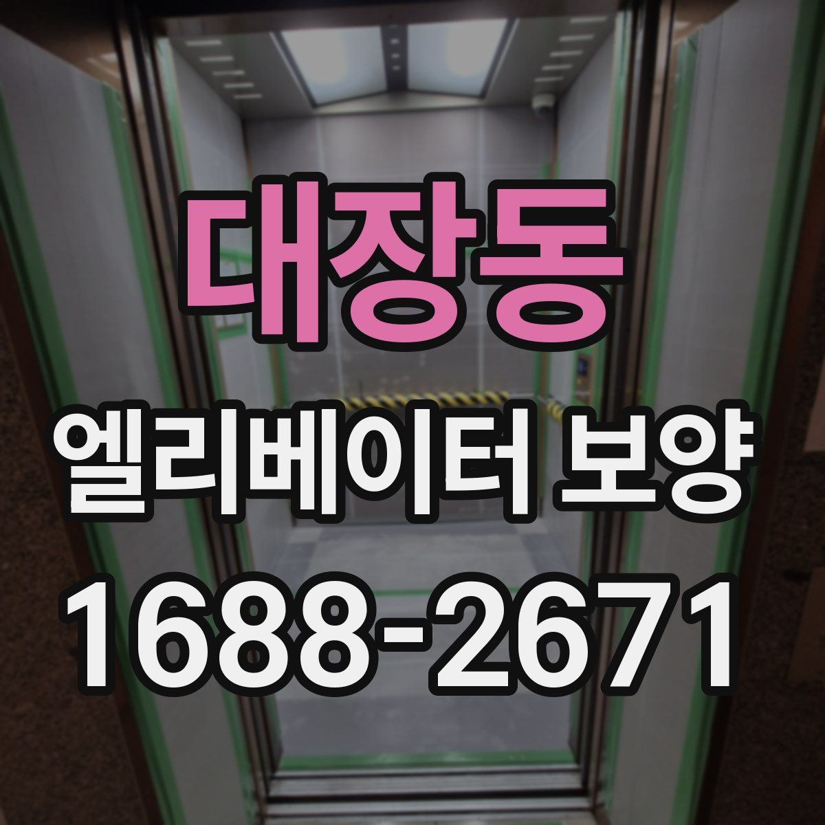 대장동 엘리베이터 보양