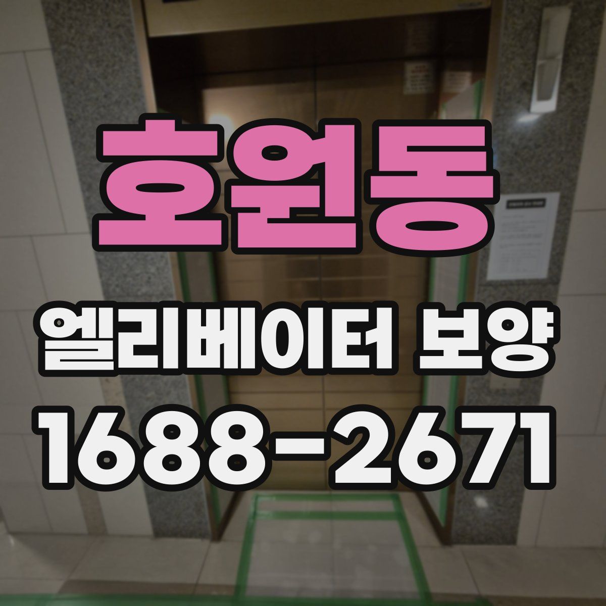 호원동 엘리베이터 보양