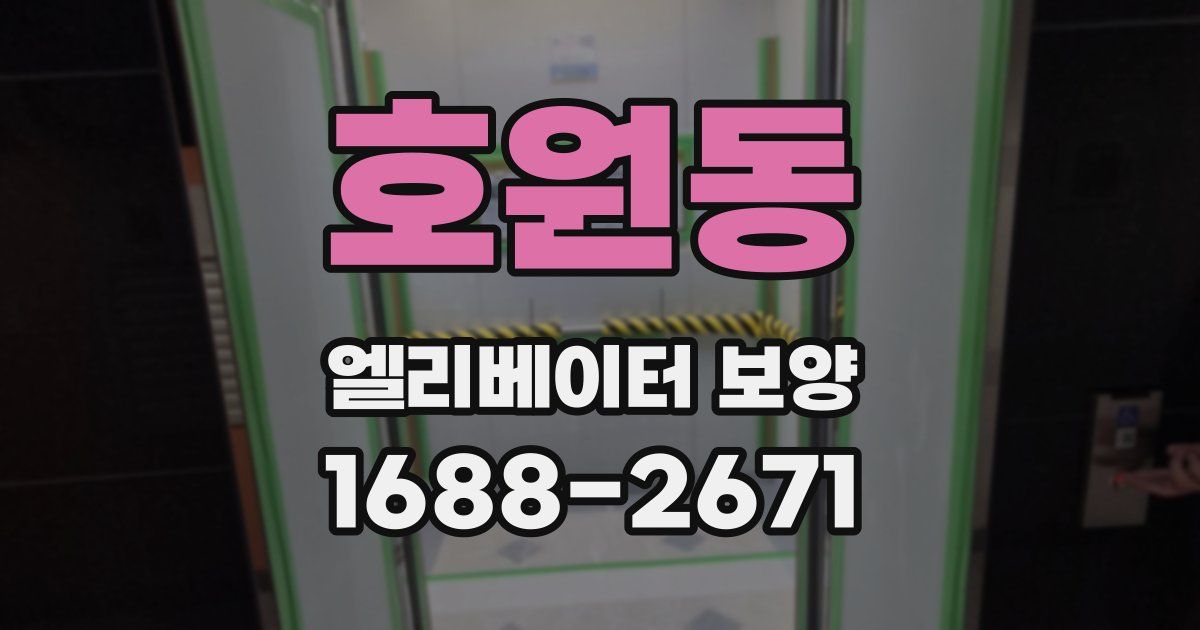 호원동 엘리베이터 보양
