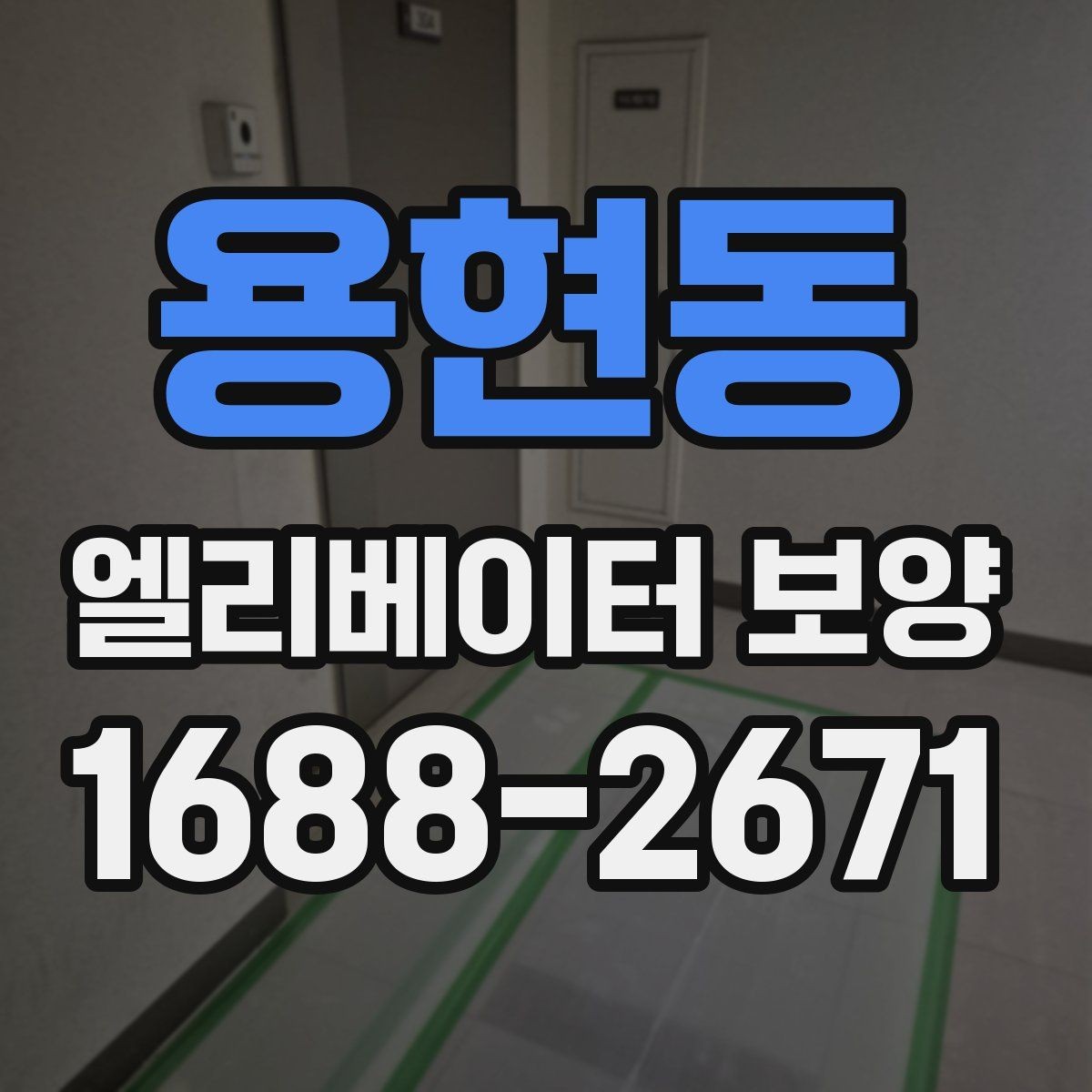 용현동 엘리베이터 보양 자재 종류를 한눈에 보는 정리