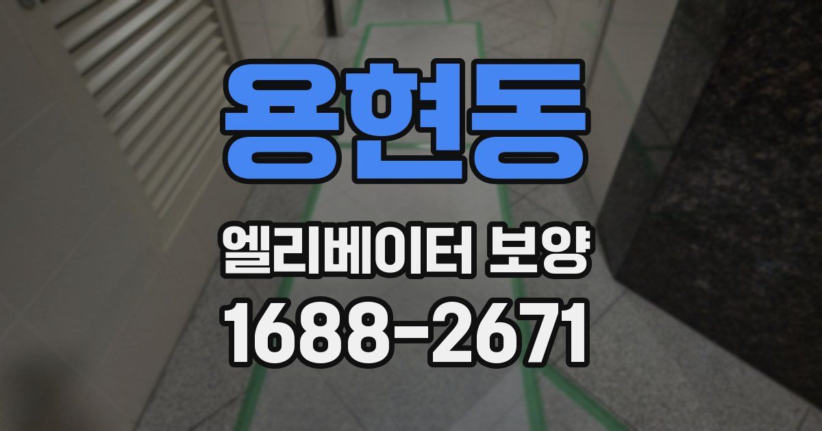 용현동 엘리베이터 보양