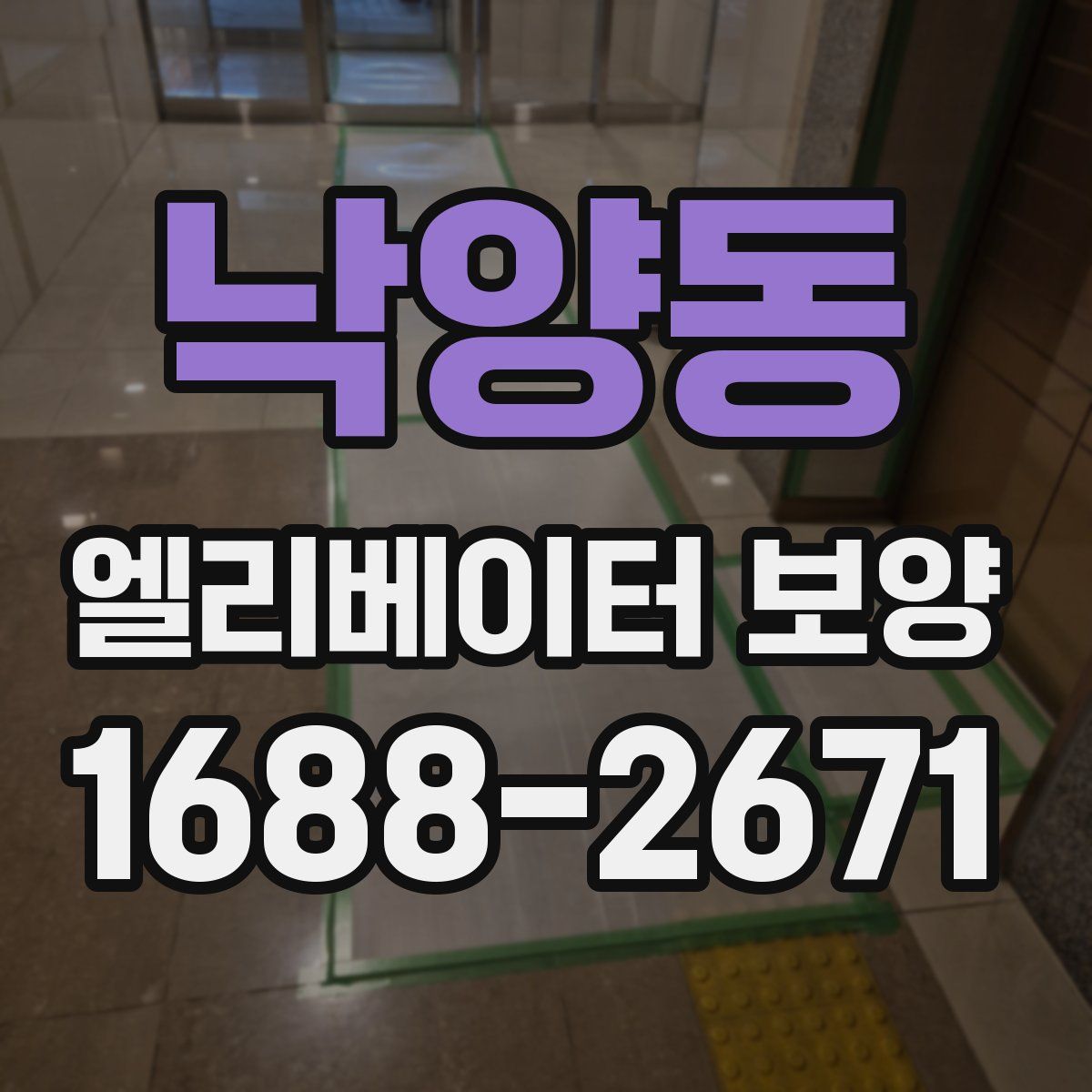 낙양동 엘리베이터 보양