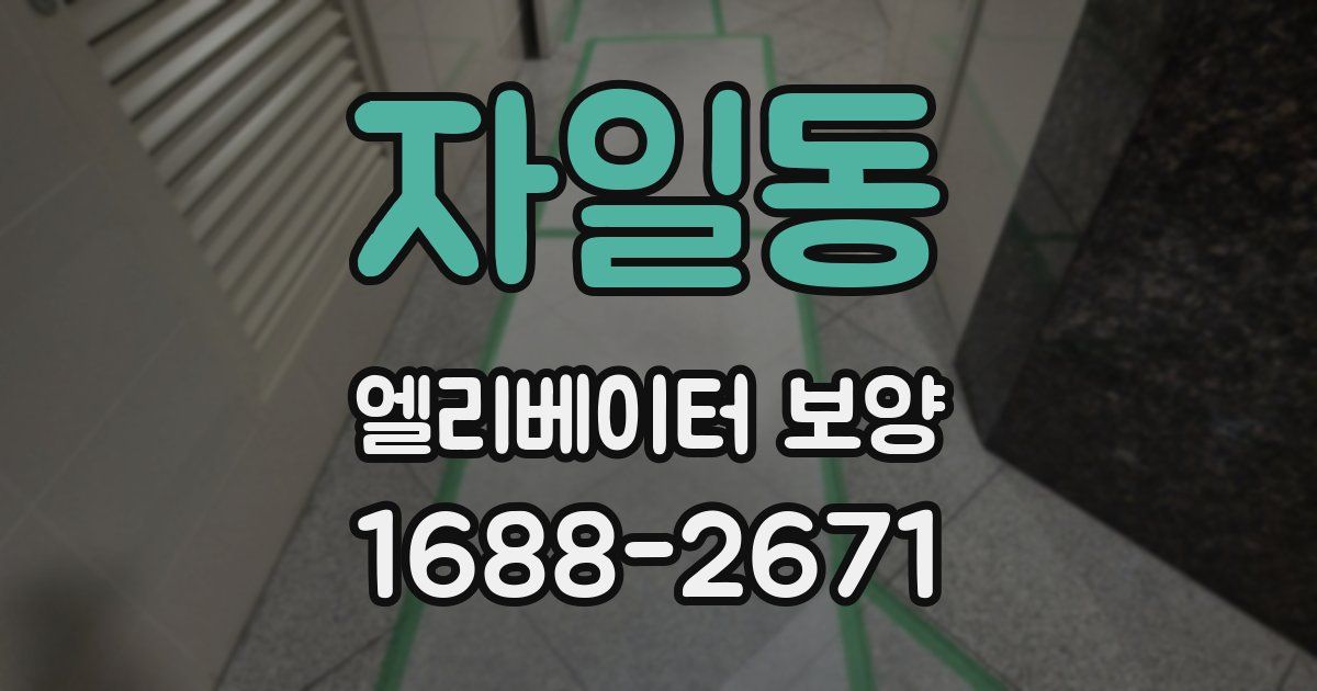 자일동 엘리베이터 보양