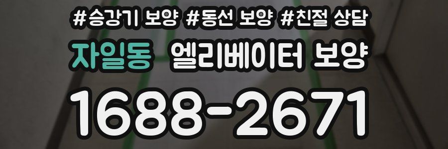 자일동 엘리베이터 보양