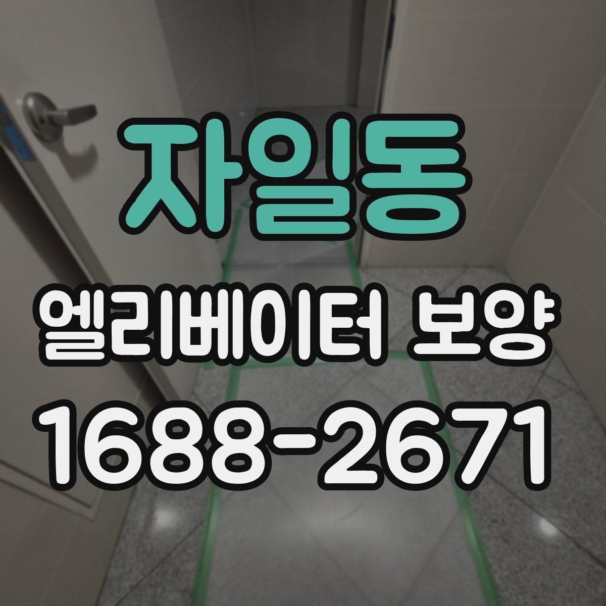 자일동 엘리베이터 보양