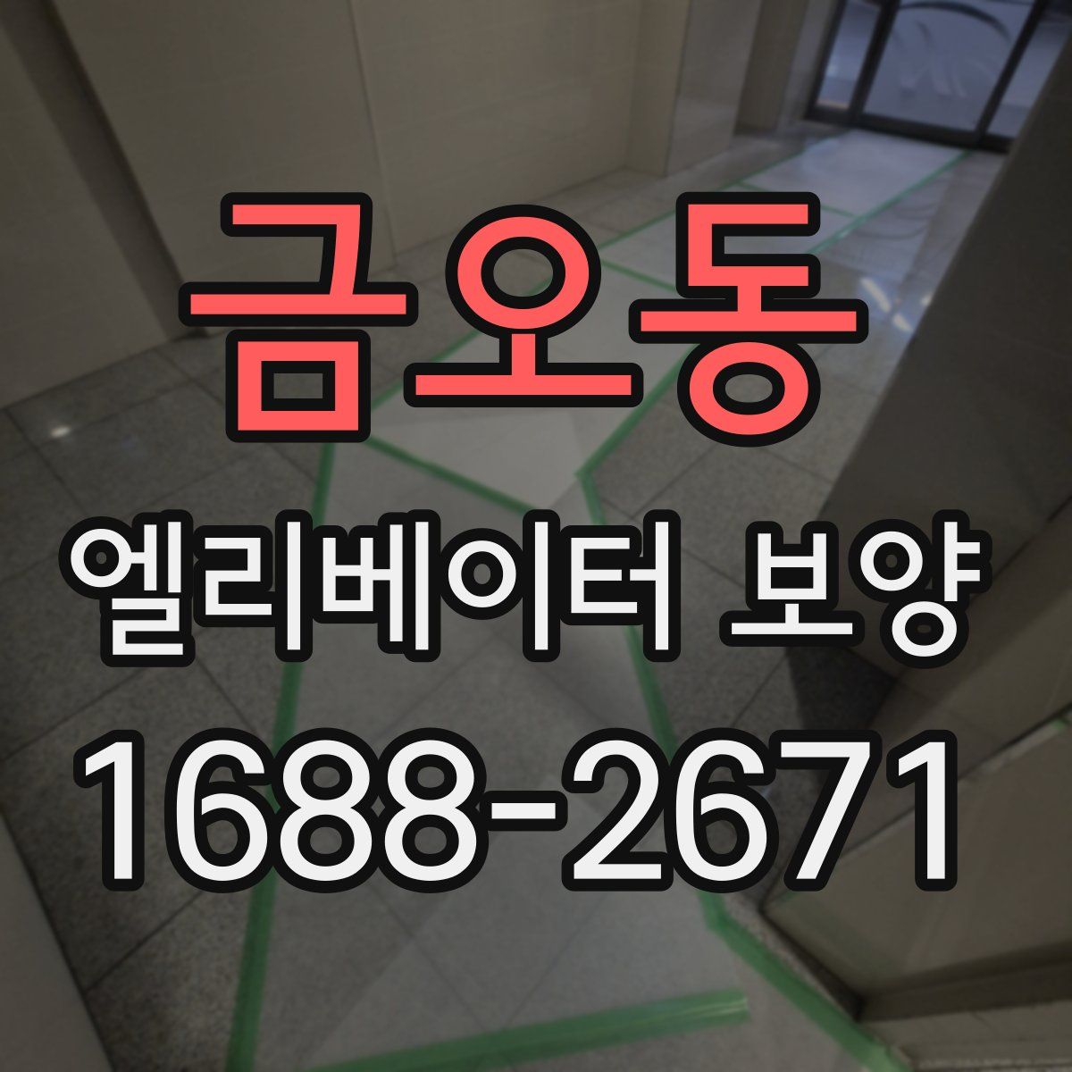 금오동 엘리베이터 보양