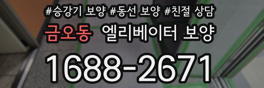 금오동 엘리베이터 보양