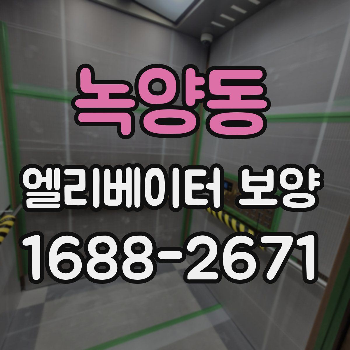 녹양동 엘리베이터 보양