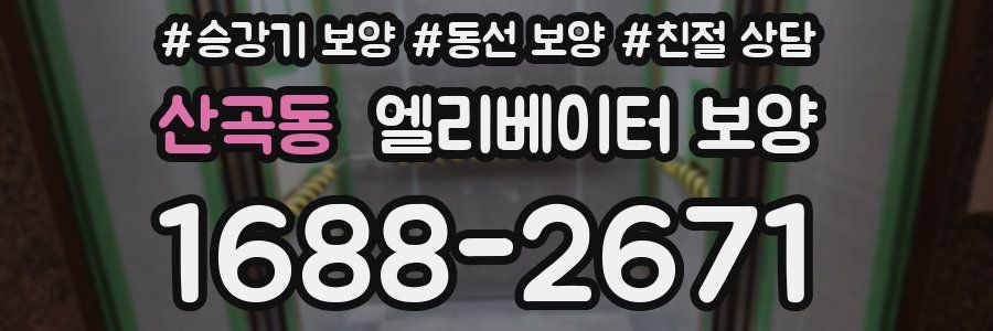 산곡동 엘리베이터 보양