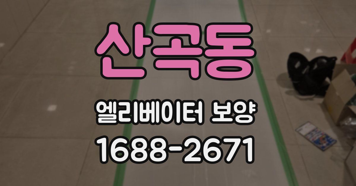 산곡동 엘리베이터 보양