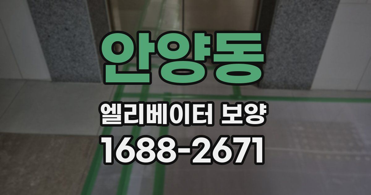 안양동 엘리베이터 보양