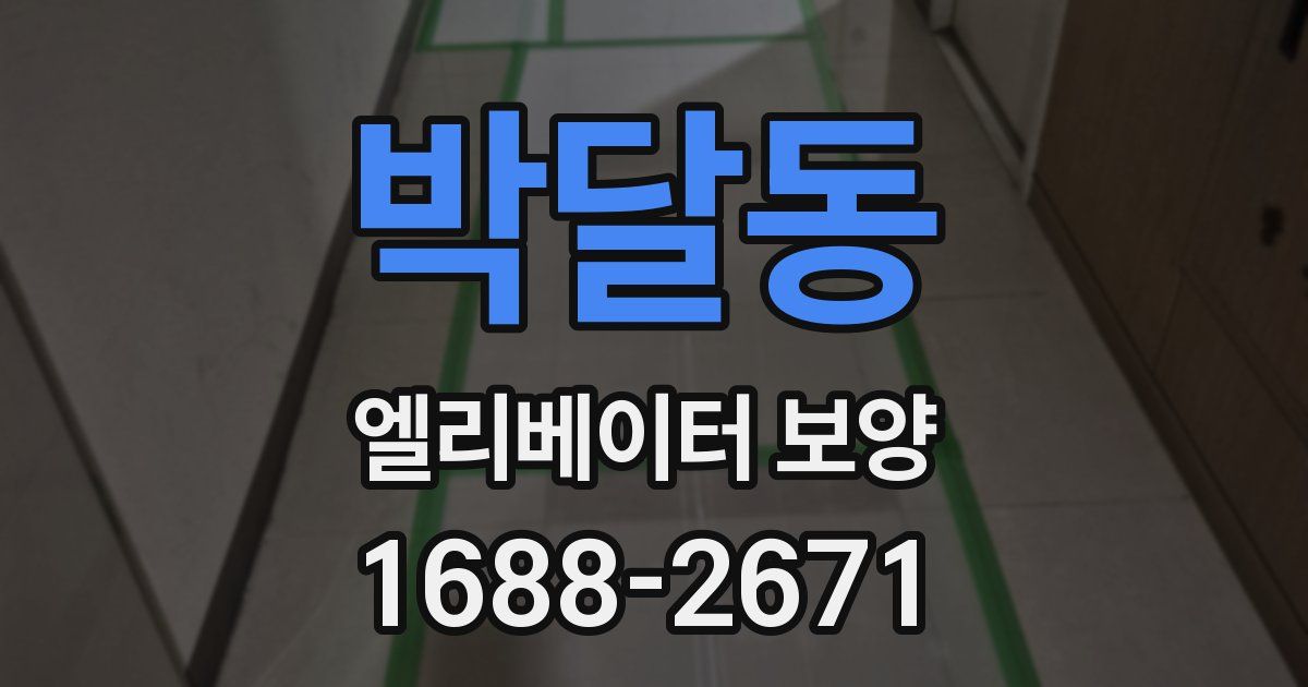 박달동 엘리베이터 보양