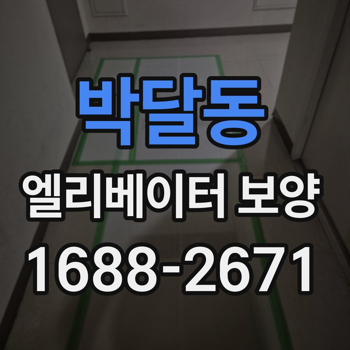 박달동 엘리베이터 보양
