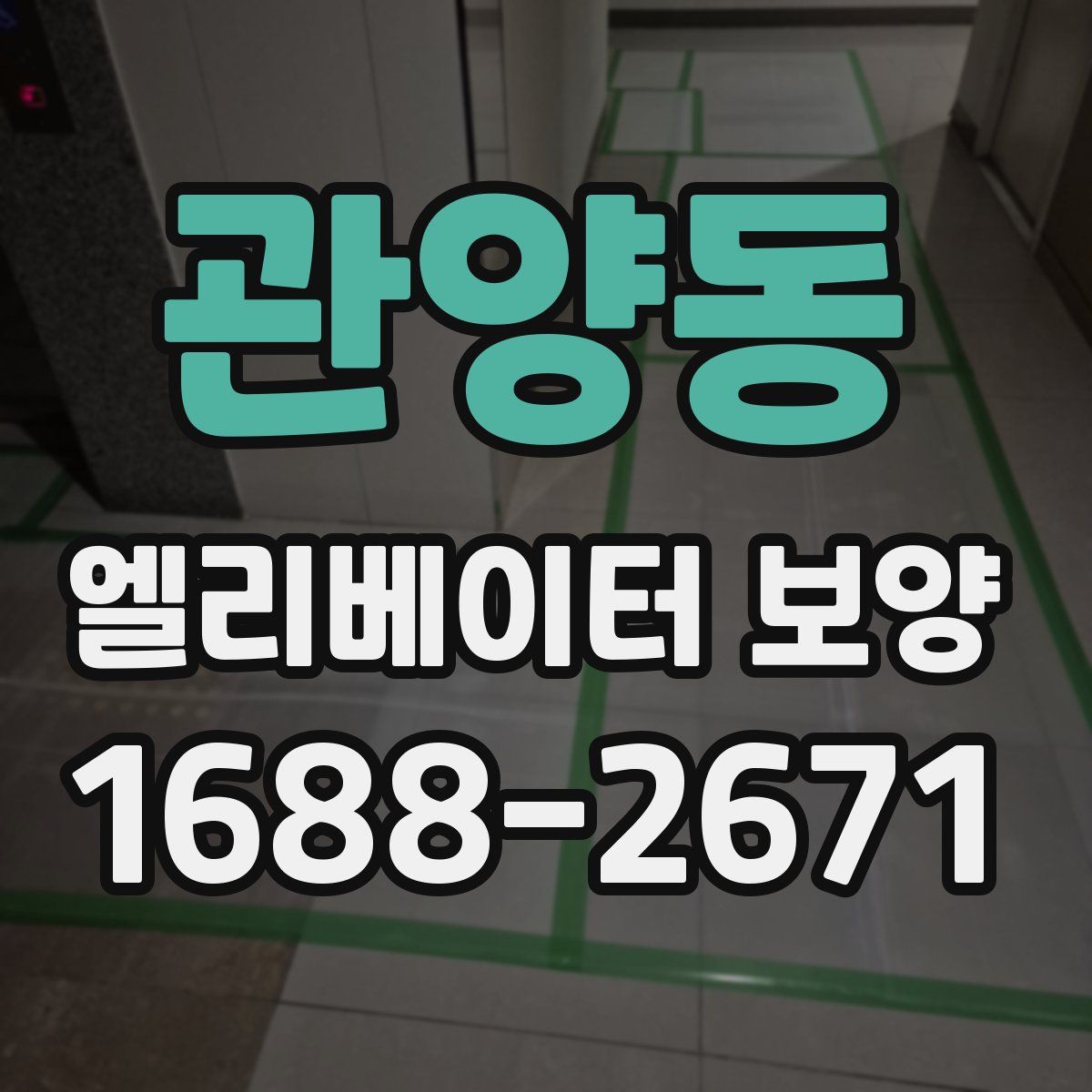 관양동 엘리베이터 보양