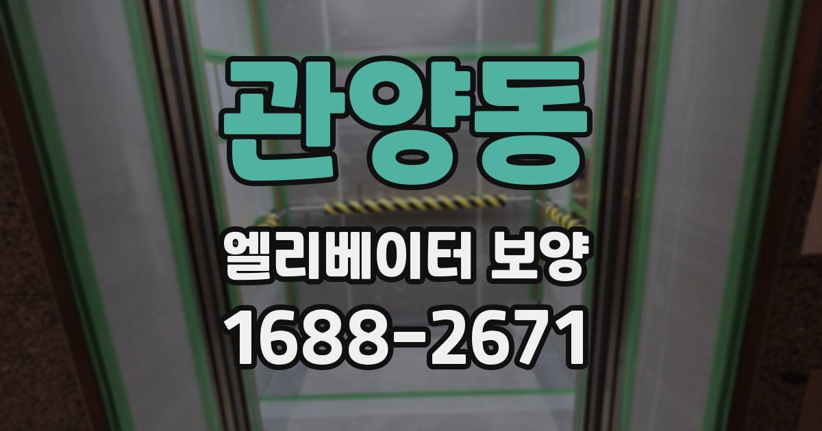 관양동 엘리베이터 보양