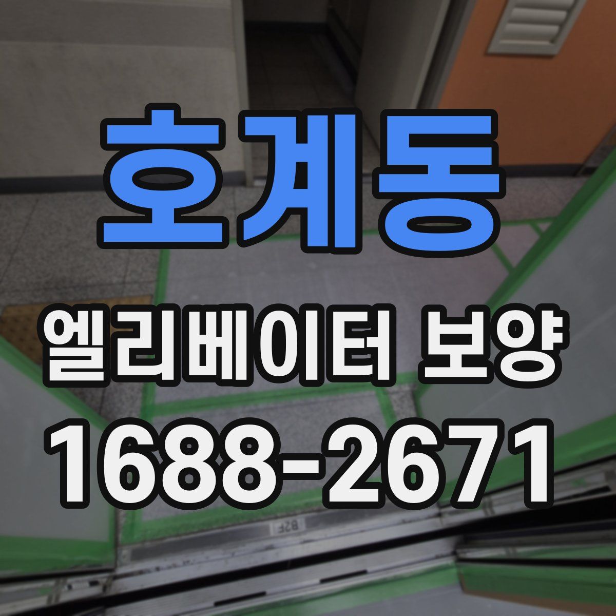 호계동 엘리베이터 보양