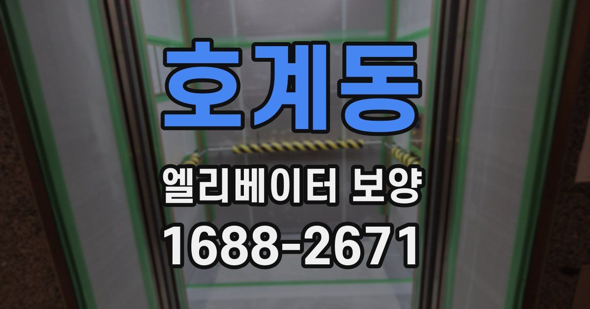 호계동 엘리베이터 보양