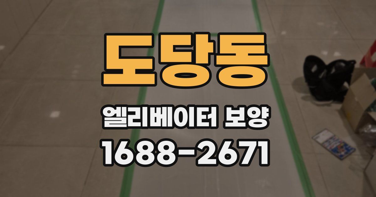 도당동 엘리베이터 보양