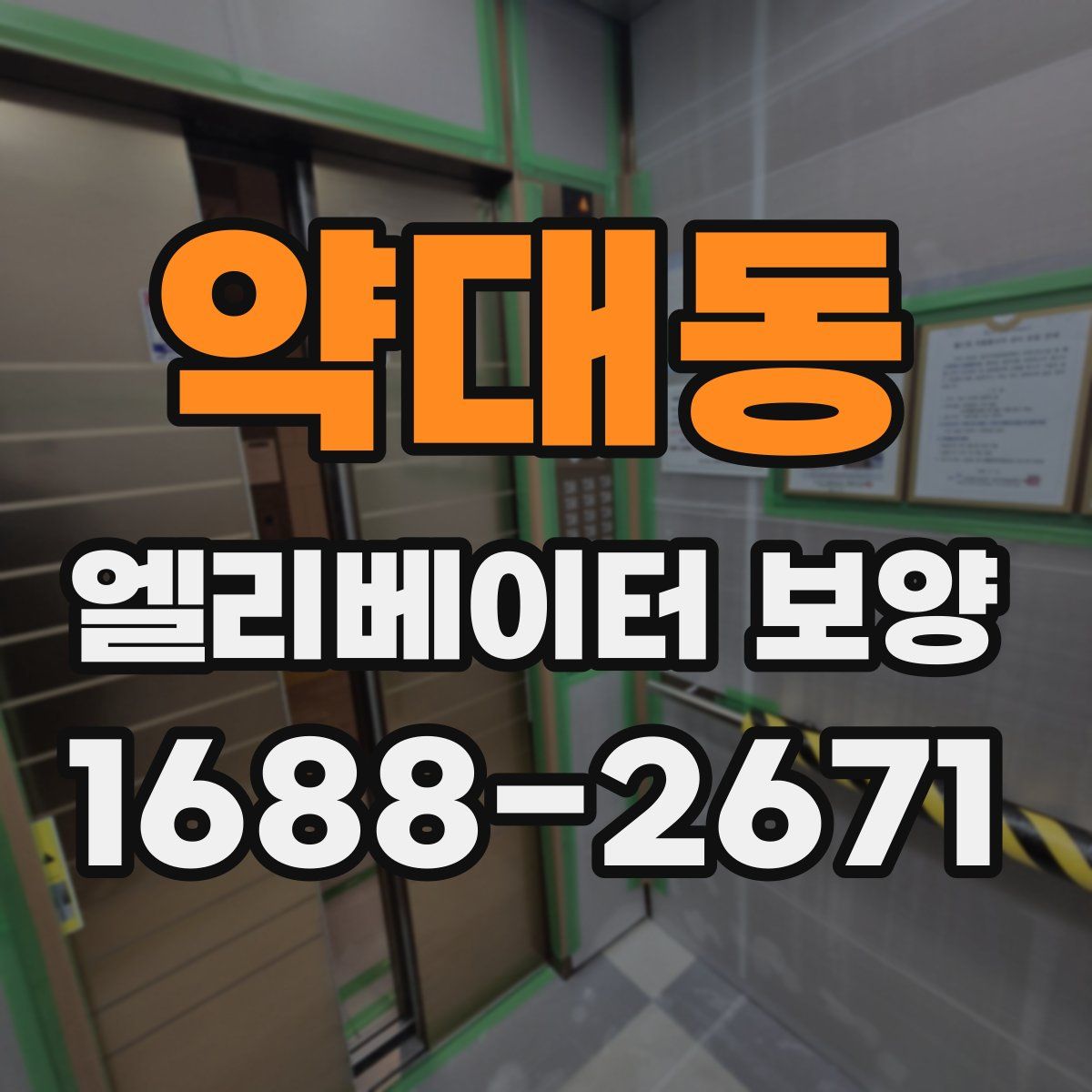 약대동 엘리베이터 보양