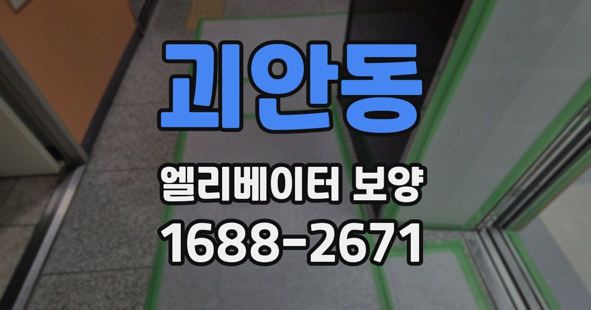 괴안동 엘리베이터 보양