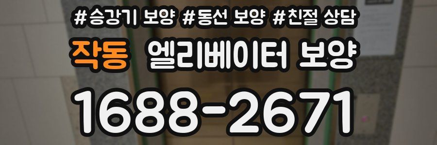 작동 엘리베이터 보양