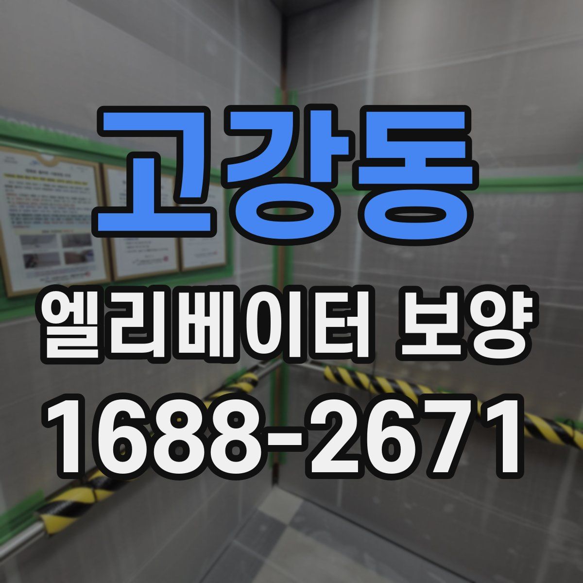 고강동 엘리베이터 보양